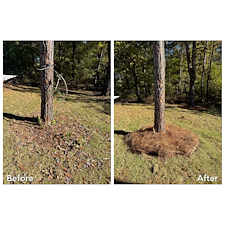 Pine-Straw-Installation-Oxford-MS 3